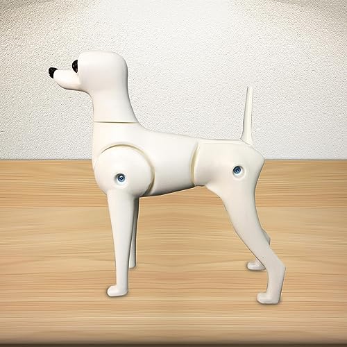 Qianly Hund Körper Modell Hund Mannequin Stehen Position Hund Modell Pet Pflege Hund Modell, Mehrfarbig, Teddy-Hund