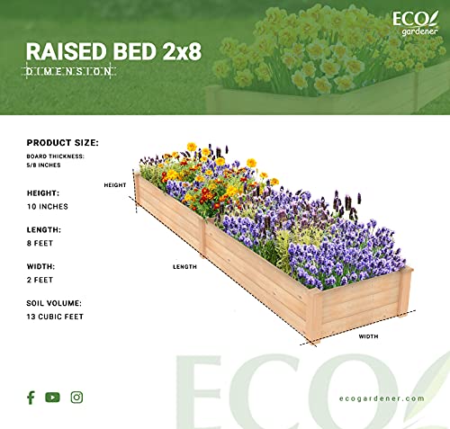 Ecogardener Raised Bed Planter, 2’X8’. Outdoor Wooden Raised Garden Bed Kit For Vegetables, Fruit, Herbs, Flowers And Plants. #TOP2