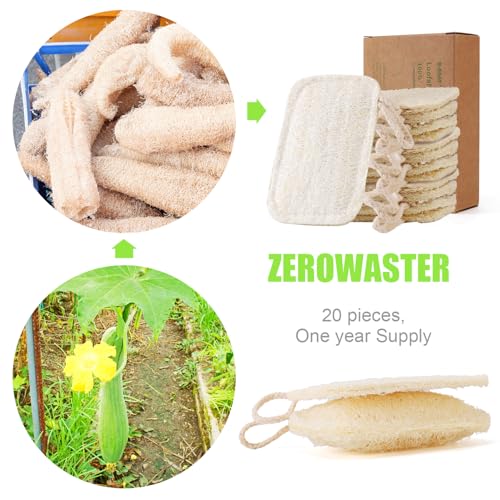Image of Natural Loofah Kitchen Sponges, 20 PCS Natural Sponge for Dishes, Cleaning, 100% Biodegradable Compostable Vegetable, Eco Friendly Sponges, Non-Scratch, No Odor Scrubber