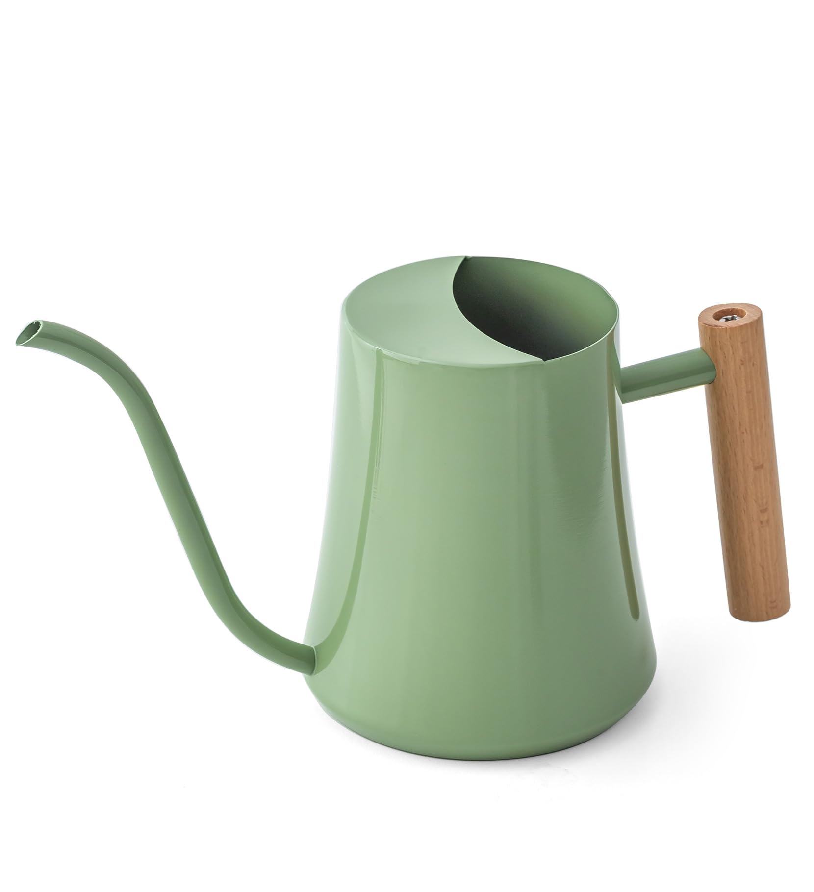 Baffect Gießkanne für den Innenbereich, 1 l, Edelstahl, Bonsai-Gießkanne mit glattem Griff, Metall-Gartengießkanne mit langem Auslauf für kleine Topfpflanzen und Blumen, Salbeigrün