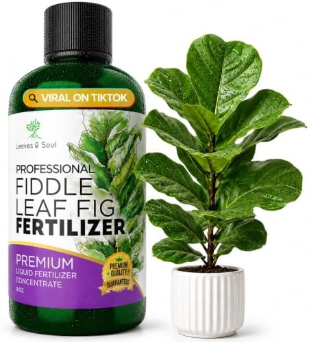 Professional Fiddle Leaf Fig Fertilizer Liquid 3-1-2 Concentrate 8 oz, Premium Fiddle Leaf Fig Plant Food for Indoor House Plants, Liquid Fertilizer for Fiddle Leaf Fig Plants