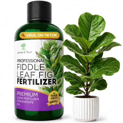 Leaves & Soul Fiddle Leaf Fig Fertilizer Liquid 3-1-2 Plant Food Care, 8 oz