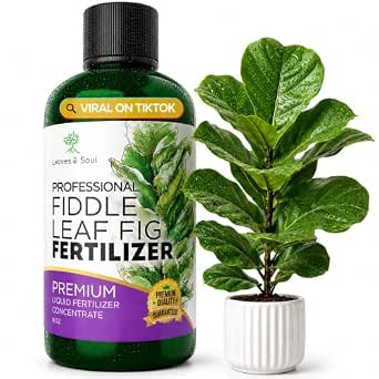 Professional Fiddle Leaf Fig Fertilizer Liquid 3-1-2 Concentrate 8 oz