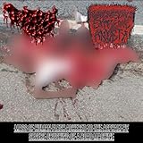 Disfigured by a Chimpanzee in a Fit of Rage