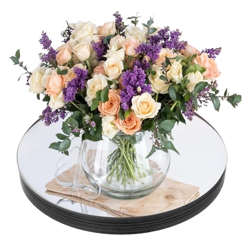 DIVINA VITAE 12Pcs Round Mirrors Centerpieces for Tables,9.84Inch Acrylic Circle Mirrors Trays...