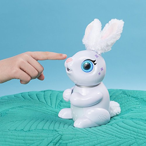 ペットロボットのおすすめはコレ 各動物別人気ランキング3選 年最新 ロボットプラザ 公式サイト