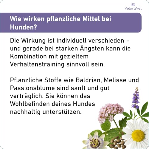 VeloraVet Beruhigung Plus für Hunde Kautabletten mit Baldrian & Kamille
