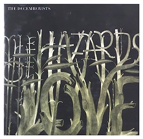 The Hazards of Love für 16,30 EUR bei amazon.de Bild: The Hazards of Love für 16,30 EUR bei amazon.de