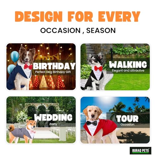 Image of Buraq Premium Dog Wedding Suit, Elegant Tuxedo with Bow Tie & Bandana, Comfortable, Washable Outfit for Dogs (M - Grey)