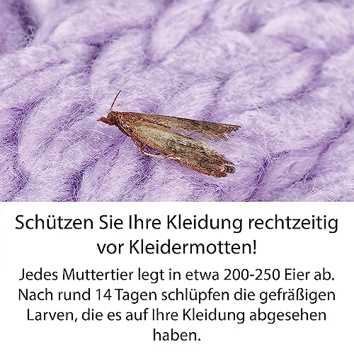 Nexa Lotte Textilschutzhänger 2er-Pack - Effektiver Schutz vor Kleidermotten mit Lavendel-Öl, Langzeitwirkung