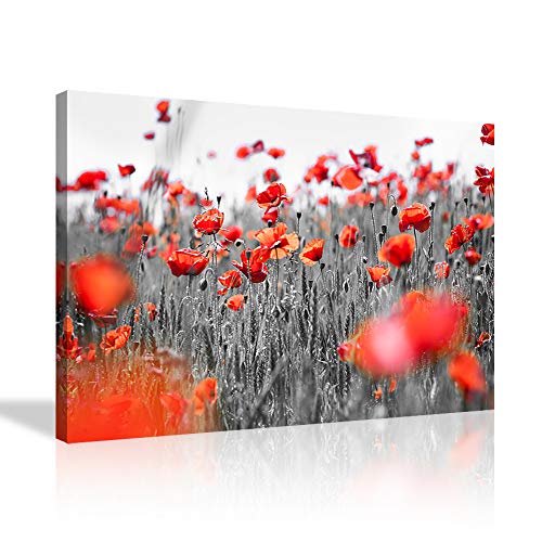 AMEMNY Black White Red Poppy Flower Canvas Prints Artwork Modern Yellow Grey Red Poppy Floral Paintings Wall Art Home Decoration Stretched and Framed Ready to Hang