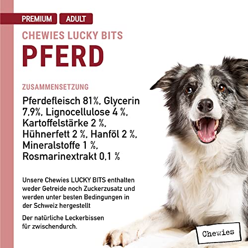 Chewies Lucky Bits Pferd Adult Hundeleckerli - Hunde-Leckerlis getreidefrei & Soft mit viel Protein und Superfoods wie Bierhefe oder Ginkgo, ohne Zucker (100 g)