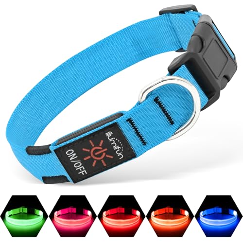 Illumifun Leuchthalsband Hund Aufladbar LED Hundehalsband Wasserdichtes Leuchthalsband für kleine und große Hunde, Hundelichter für nächtliche Spaziergänge (Blau, M)