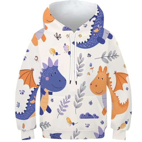 VFKLZCNYR Sudadera con capucha unisex para niños con estampado 3D divertido con bolsillos, atlética, casual, para niños, Estilo-5, 7-9 Years