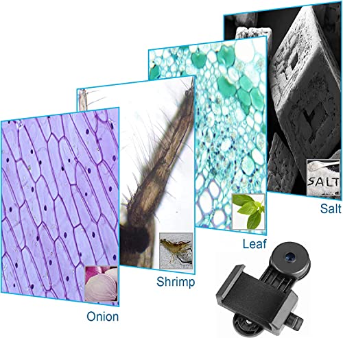 Microscope Lens Smartphone Adapter- Microscope Cellphone Camera Adapter, Built-In Wf16X Microscope Eyepiece- Celticbird Smartphone Camera Adapter For Microscope Eyepiece Tube 23.2Mm #TOP6