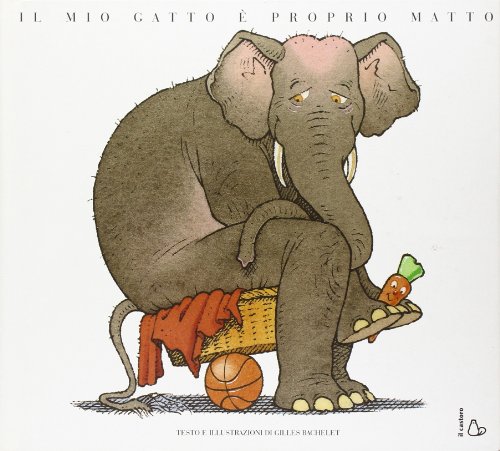 Il mio gatto è proprio matto Il mio gatto è proprio matto