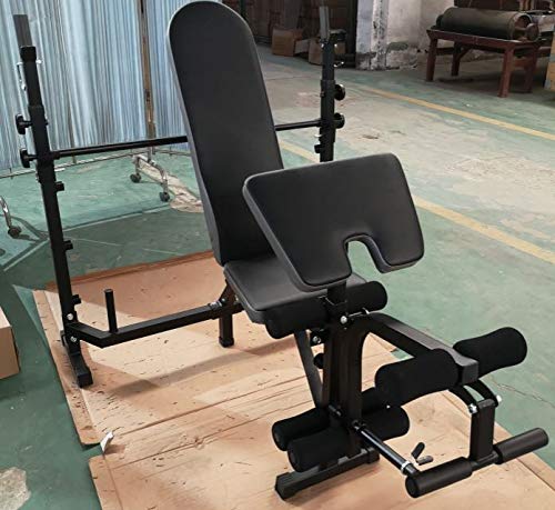 Home Gym Fitness Machine Adjustable Benches Weightlifting Benches Dumbbell Stool Body Workout with Handle/Backrest (Black)
