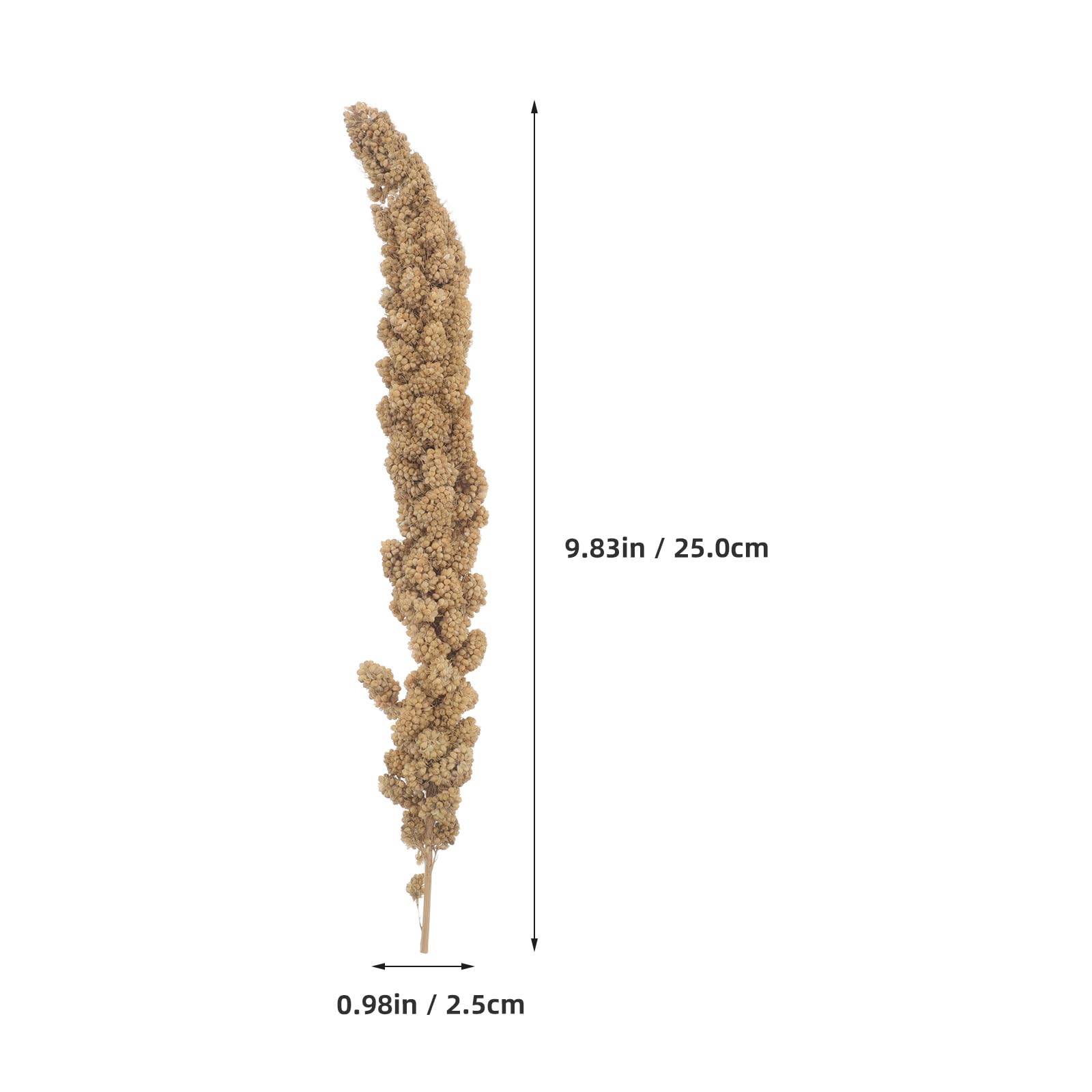 Snack di Miglio per Pappagalli e Canarini 500g Cibo Ricco di Nutrimento per Uccelli Domestici