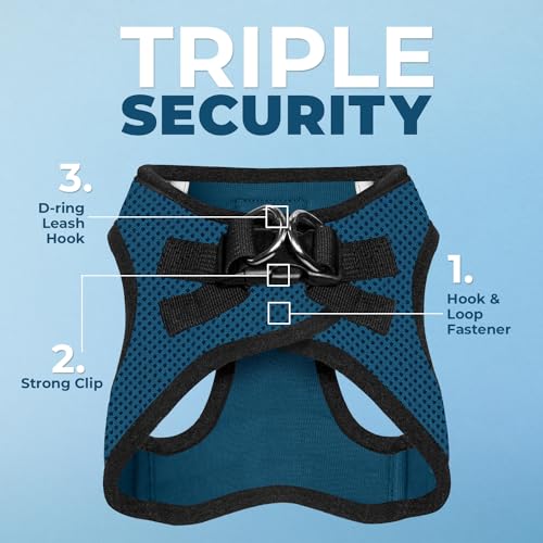 Image of Voyager Step-in Air All Weather Mesh Harness & Reflective Dog 5 ft Leash Combo, Neoprene H&le, for Small, Medium, Large Breed Puppies by Best Pet Supplies - Leash Harness (Blue /Black Trim), S