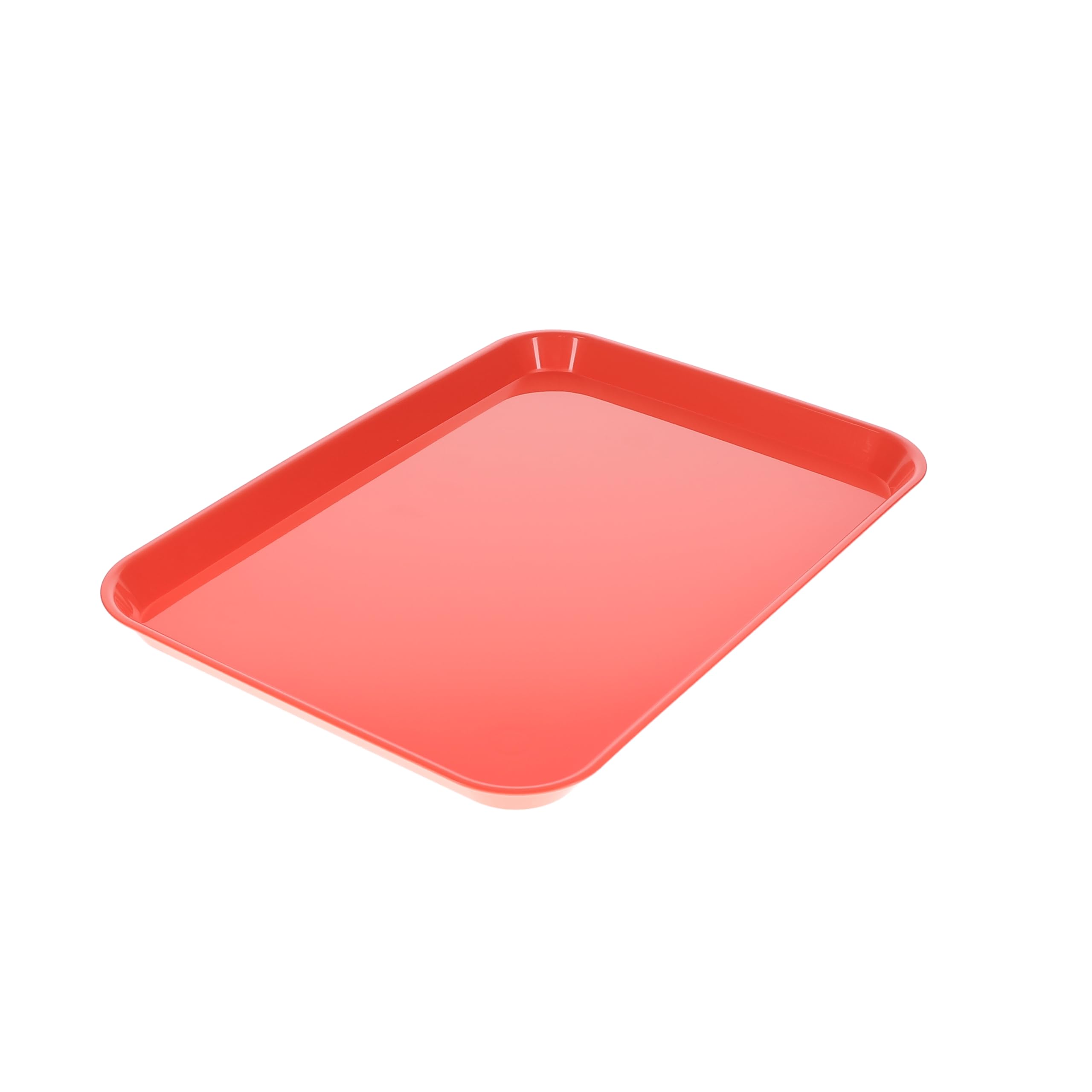 HSB 108140, Set-Up Tray FLA,t #B, Ritter Coral Plastic, 13-3/8