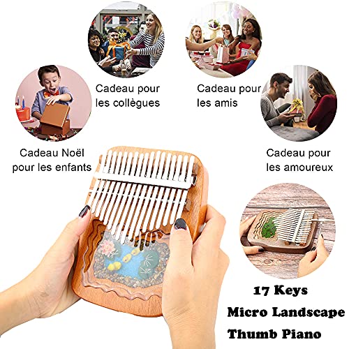 Hearda Kalimba 17 clés Instrument de Musique, Portable Résine Pouce Piano Africain Marimba Kalimba Cadeau Kit avec… - Les Beatles, Paul McCartney, John Lennon, RIngo Starr, George Harrison Hearda Kalimba 17 clés Instrument de Musique, Portable Résine Pouce Piano Africain Marimba Kalimba Cadeau Kit avec… – Image 8