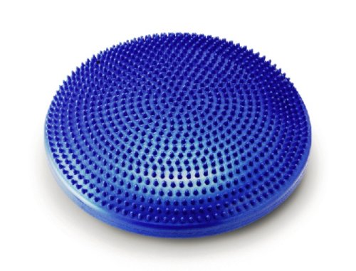 SINTEX バランスディスク STT171