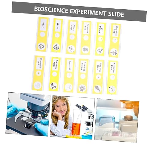CHILDWEET 12pcs Glass Slide Microscope Slides Abs Specimens Sample Biological Specimen Child Plant Suite 8 516quz3S8bL