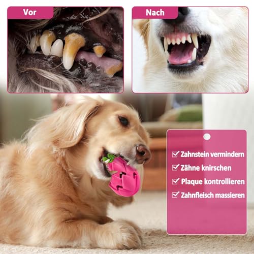 AUSCAT Interaktives Hundespielzeug Leckerli, Futterball für Hunde, Naturkautschuk Leckerli-Spender für Große Mittelgroße Hunde, Pitaya Form