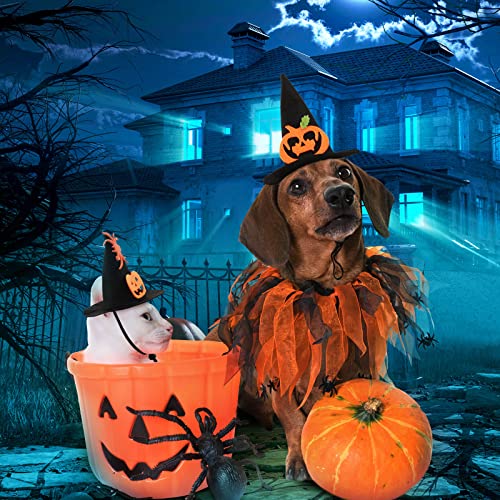 Disfraz Halloween para Gato 5 Piezas Potchen miniatura 4
