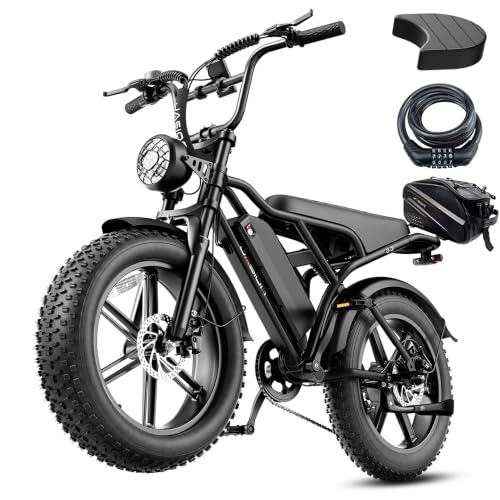 Jasion RetroVolt Electric Bike for Adults, 2000W Peak Motor, 30MPH E-Bike image 1