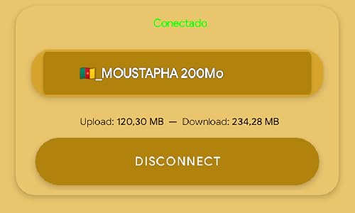 KAMER VPN – vue 2