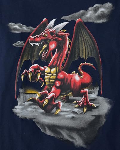 Image of The Children's Place Boys Dino Long Sleeve Graphic T-Shirts,multipacks