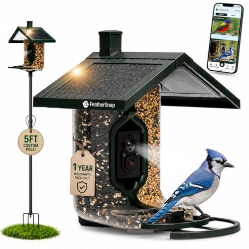 FeatherSnap Smart Bird Feeder with Camera Solar Powered AI Bird ID 1080p HD Night Vision Includes Mounting Pole Bird Feeder with Pole