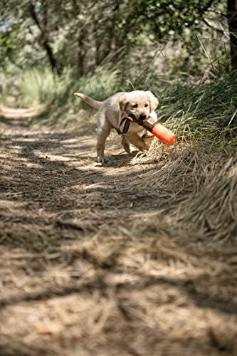 Carhartt Training Dog Retrieving Bumper, Hunter Orange, Large - Image 4