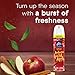Glade Air Freshener Room Spray, Autumn Spiced Apple Scent, Odor Fighting to Deliver Long Lasting Freshness, 8.3 Oz, 6 Count