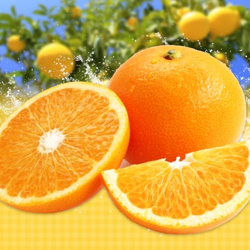 紅八朔(ポッポ) 5kg(3L〜L)JAわかやま 紀の里地域本部[3月中旬-4月中旬頃に出荷予定(土日祝除く)]和歌山県 岩出市 産地直送 みかん 八朔 柑橘 果物 フルーツ ビタミンC たっぷり