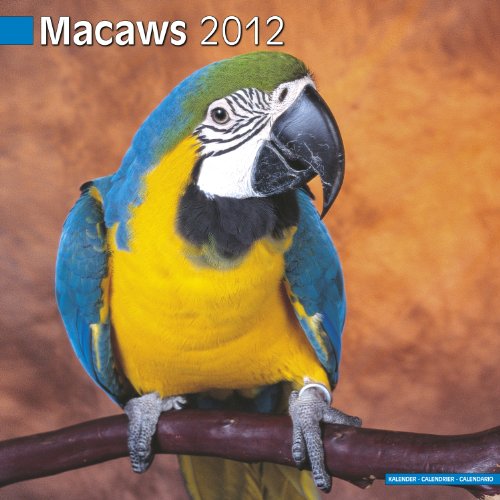Calandero 2012 - Macaws: elegancia artesanal y exclusividad para tu decoración