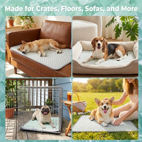 Image of PatiencET Dog Cooling Mat, 28 x 40 in No-Gel Cooling Pad for Medium Dogs, Cool Touch Pet Mat with Ice-Dot Texture, Washable Summer Dog Mat for Crate, Floor, Sofa, Car, Light Green