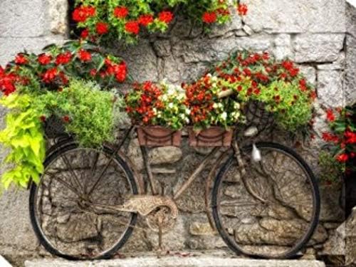 Green and Red Rusty Bicycle Outdoor Canvas Rectangular Wall Art Decor 30" x 40"
