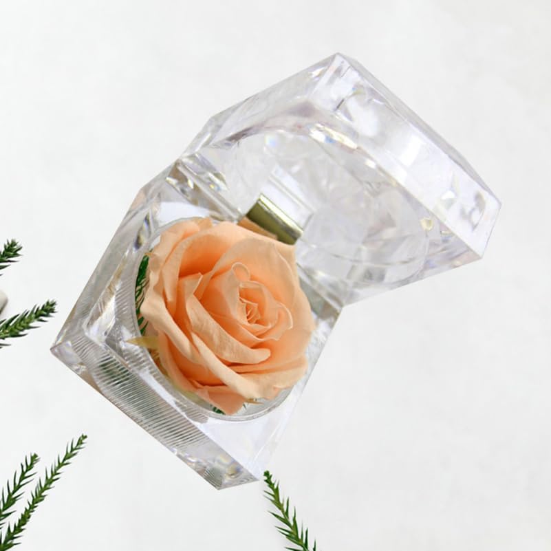 NOLITOY Preserved Flower Box, Single Rose Never Withered Bixes Preserved Rose for Wedding Decoration Birthday - Image 6