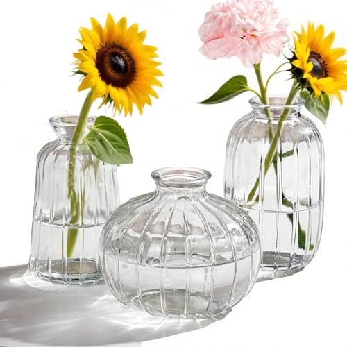 ZFanyun Glass Vase Set of Three, Transparent Small Vases with Lines, Suitable for Weddings, Parties, or Home Decorative Flower Arrangements. (3, Clear)