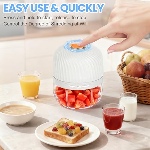 Blender For Chillies