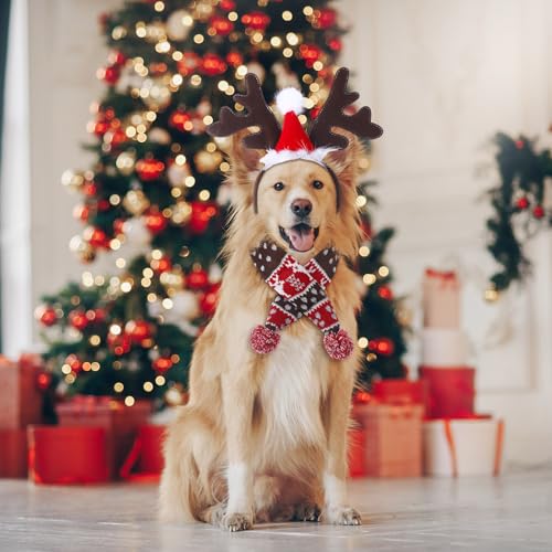 Set Disfraz Navidad Para Perros Medianos 3 Piezas miniatura 4