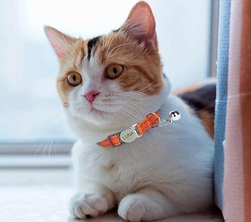 Miniatura 5 de Collar de gato reflectante personalizado con campana, diseño de separación, nombre grabado y número de teléfono