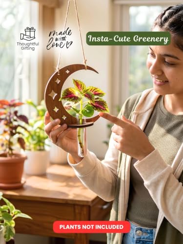 Image of Bombay Greens Wall Hanging Moon & Lunar Phase Planter with Wooden Holder & Rope | Test Tube Hanging Planter | Wooden Stand for Home Decor, Living Room, Balcony & Office Decoration