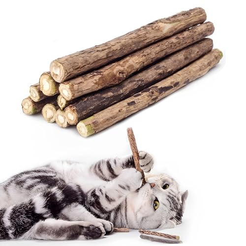 Vunpok 10 Stück Katzenminze Sticks, Katzenminze Spielzeug, Kauholz für Katzen, Gegen Mundgeruch, Kauspielzeug für Zahnpflege und gesunde Kaugewohnheiten