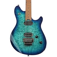 Amazon | EVH エレキギター Wolfgang® WG Standard QM, Baked