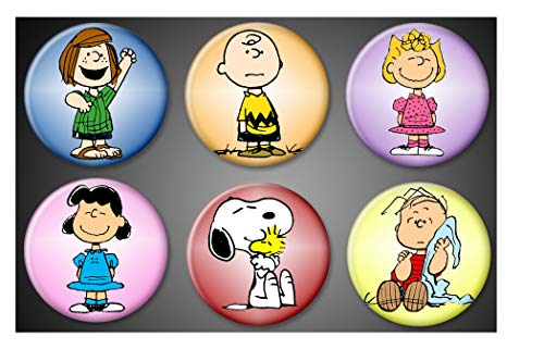 Peanuts character magnets Charlie Brown Snoopy and woodstock Linus Sally Lucy Peppermint Patty Fridge magnets locker whiteboard