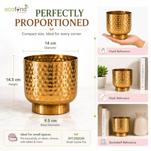Image of ecofynd 1 Pack Metal Plant Pots (5.5 inch), Indoor Small Planter Flower Pots, Home Garden Decor Planter for Living Room Bedroom Interior (Gold Finish, POT054)