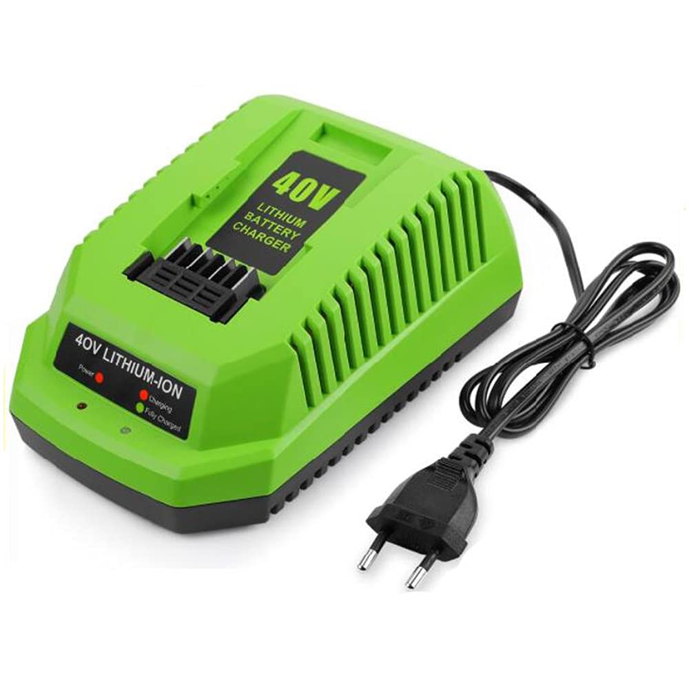 Caricabatterie da 40 V al litio per GreenWorks 29482 G-MAX Batteria agli di litio da 40 V 29472 29482 29652 G40825 Spina UE